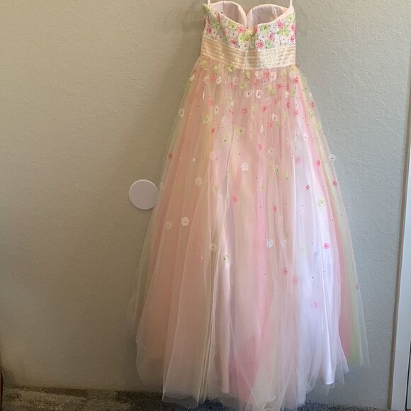 Pink and Green Ball Gown - Picture 9 of 10